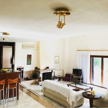 Bright & Spacious Seaview Villa Siviri Extérieur photo