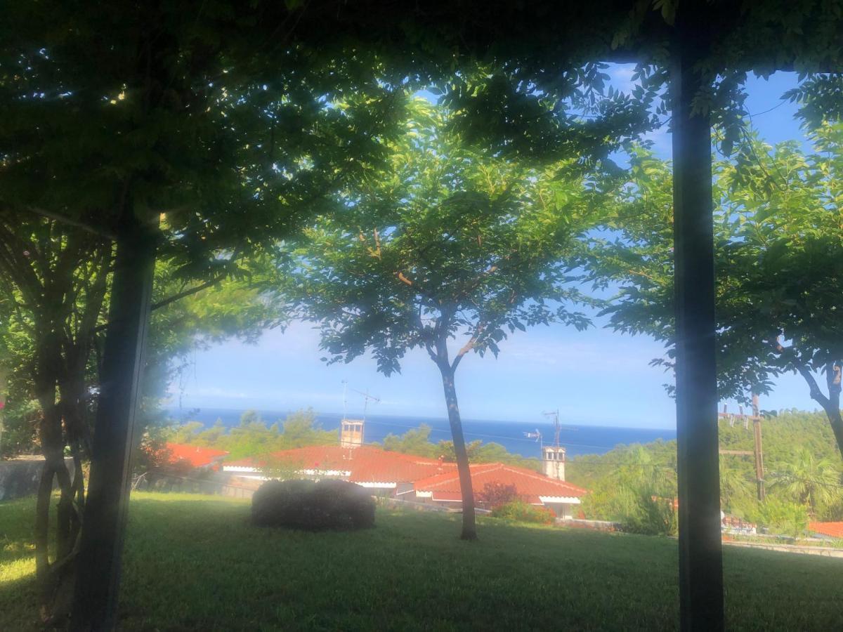 Bright & Spacious Seaview Villa Siviri Extérieur photo