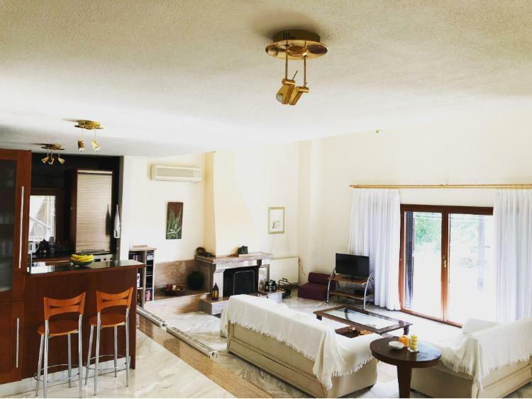 Bright & Spacious Seaview Villa Siviri Extérieur photo