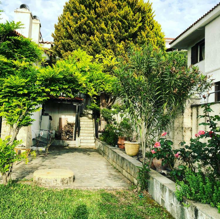 Bright & Spacious Seaview Villa Siviri Extérieur photo