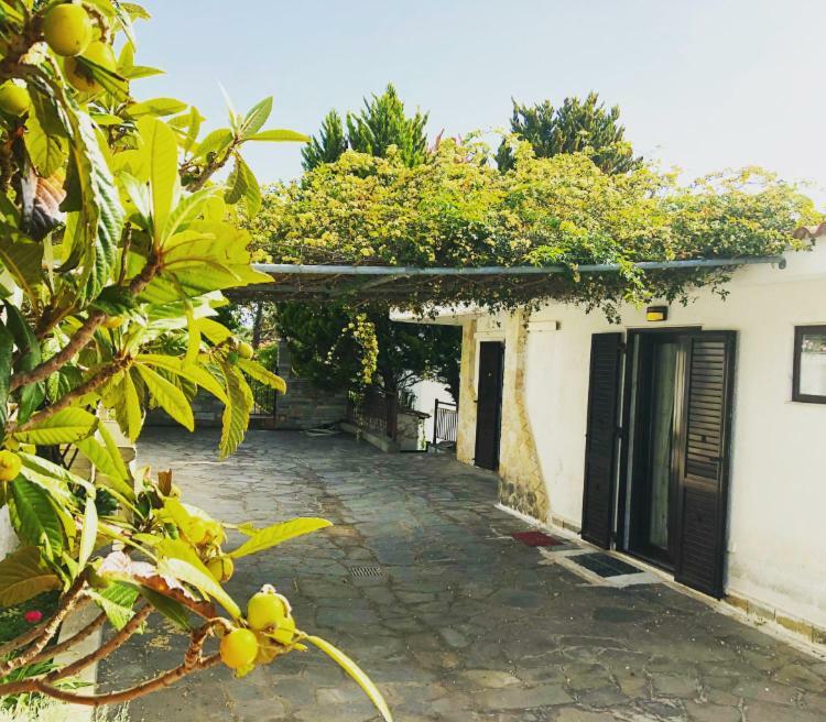 Bright & Spacious Seaview Villa Siviri Extérieur photo