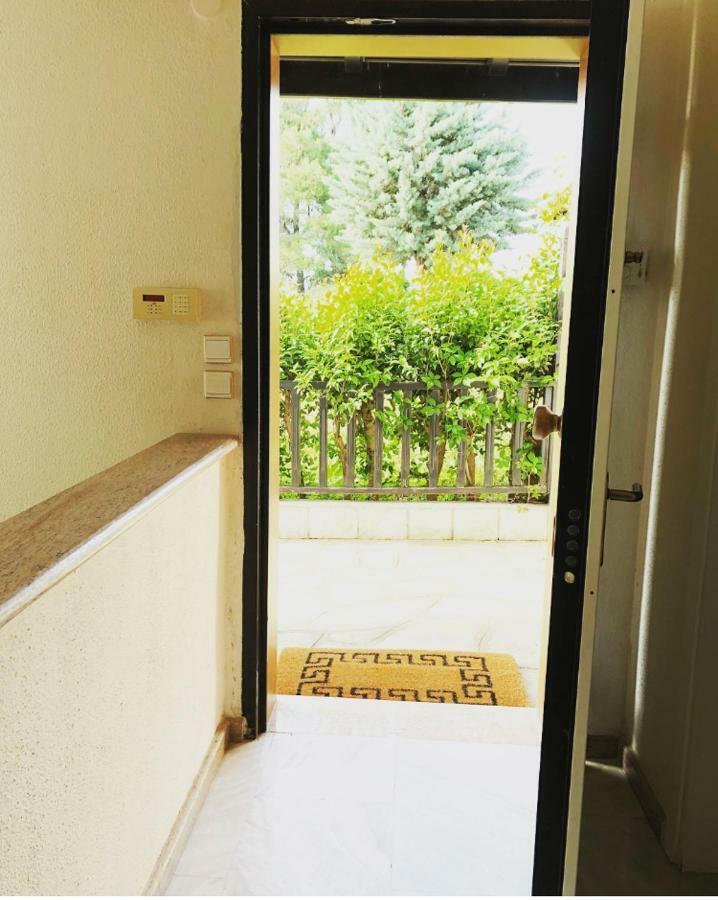 Bright & Spacious Seaview Villa Siviri Extérieur photo